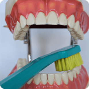 Inštruktáž čistenia zubov 2