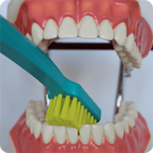 Inštruktáž čistenia zubov 3