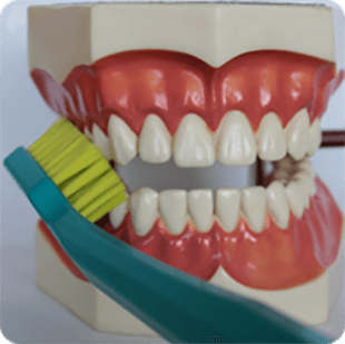 Inštruktáž čistenia zubov 7